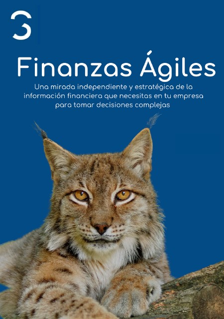 Finanzas Ágiles